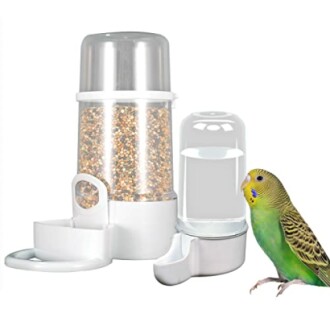 Bird feeder and water dispenser with green parakeet.