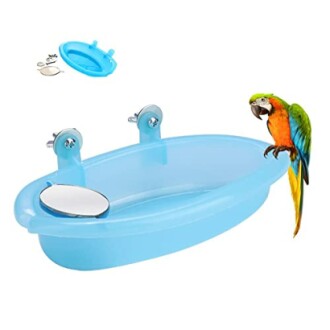 Bird Bath Toy with Mirror