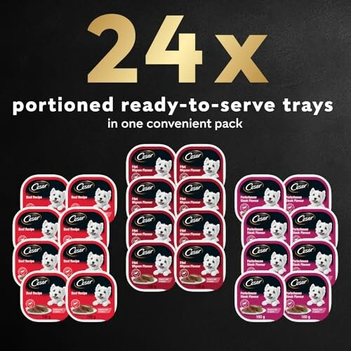 Cesar dog food 24-pack with portioned ready-to-serve trays.