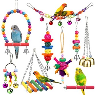 Assorted colorful bird toys with parrots on perches and swings.