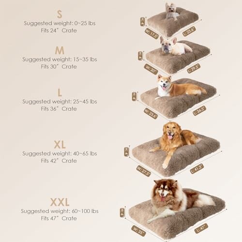 Dog bed size guide with images of different dog breeds on beds.