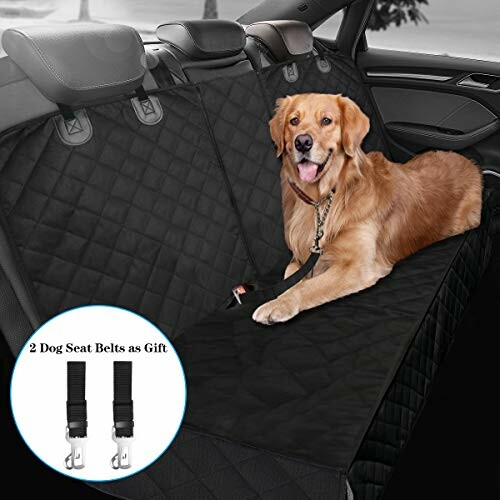 Dog sitting on a black car seat cover with dog seat belts shown.