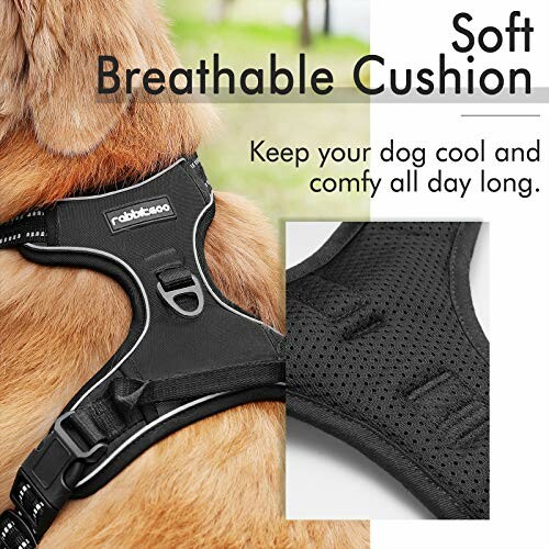 Dog wearing a soft, breathable cushion harness with close-up detail.