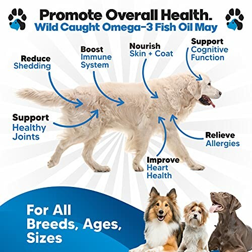 Diagram of a dog highlighting health benefits of wild caught Omega-3 fish oil.