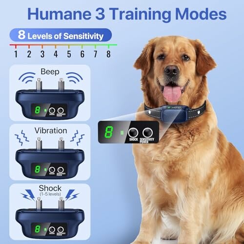 Dog wearing a training collar with 3 modes: beep, vibration, and shock.