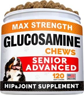 Senior Advanced Glucosamine