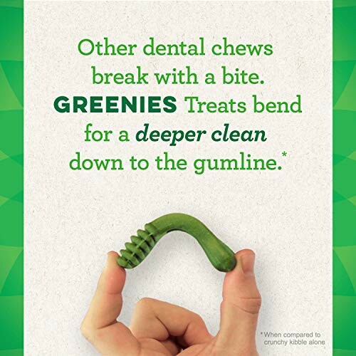 Greenies dental chew held between fingers against a green background with text about dental chews.